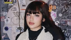 Andrea Brillantes shares stunning photos from her recent trip to Japan