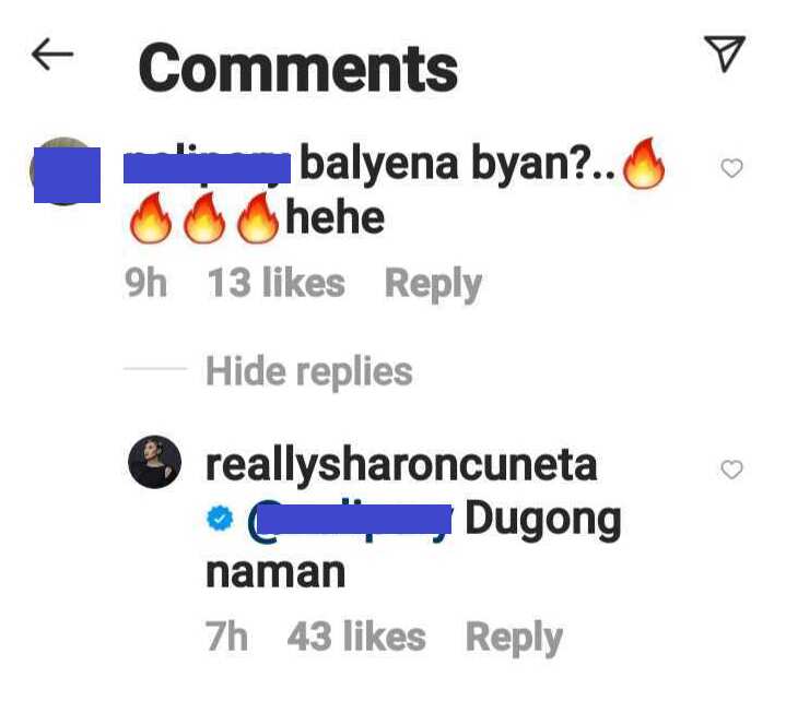 Sharon Cuneta pokes fun at basher saying she’s “balyena”