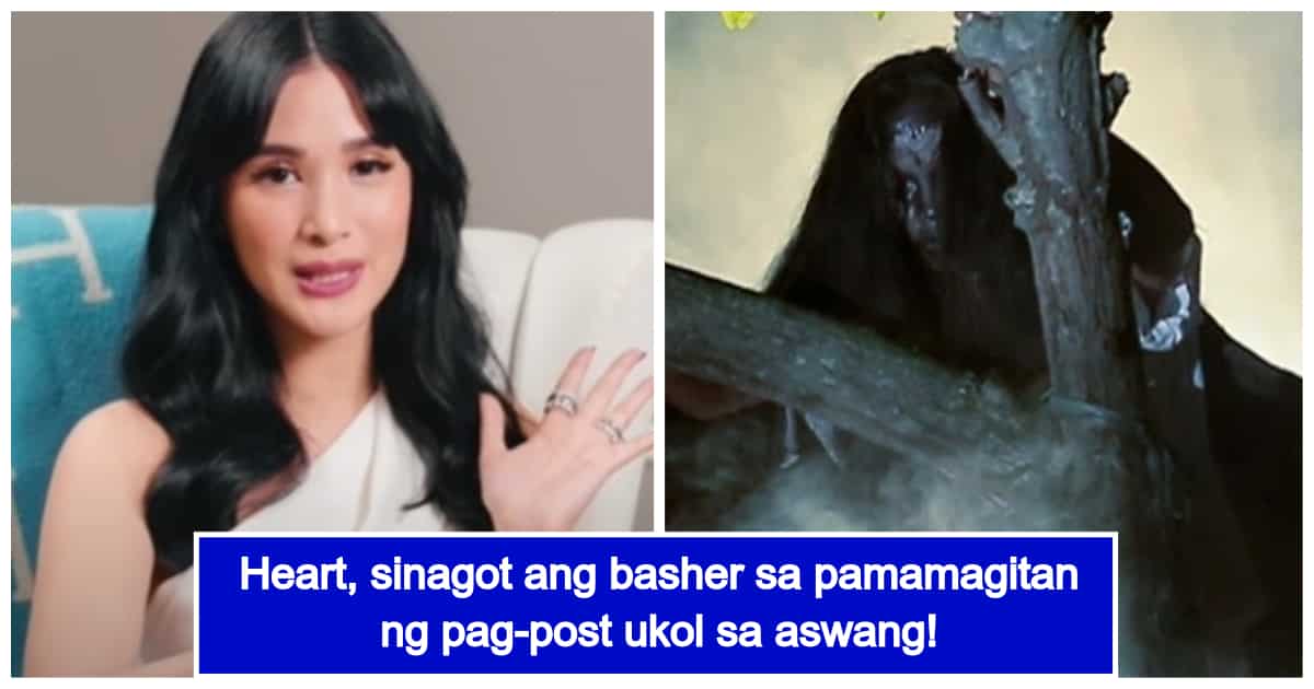 Heart Evangelista Comments About Aswang After Netizen Criticized Her