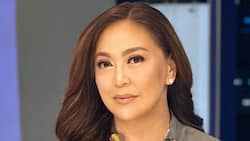 Karen Davila, ukol sa ABS-CBN Ball: "A celebration of family surviving through the hardest of times"