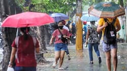 PAGASA: Metro Manila now under Signal No. 1 as TD ‘Butchoy’ intensifies