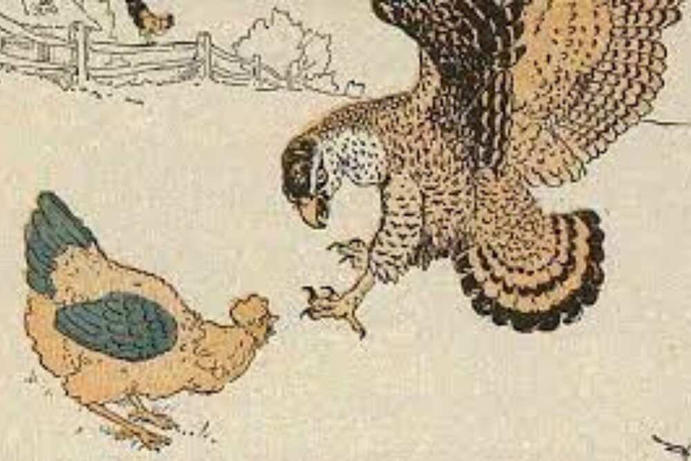 Philippine folktale Philippine folktale