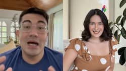 Luis Manzano shares netizen's "COVI" post about Vico Sotto; Pauleen Luna reacts