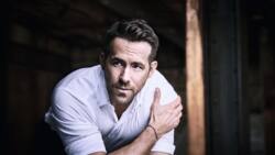 The biography of Ryan Reynolds: His movies and personal life