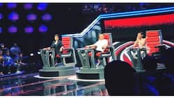"Excellent judges!" Pagbabalik ng The Voice Kids PH judges, sinalubong ng bongga