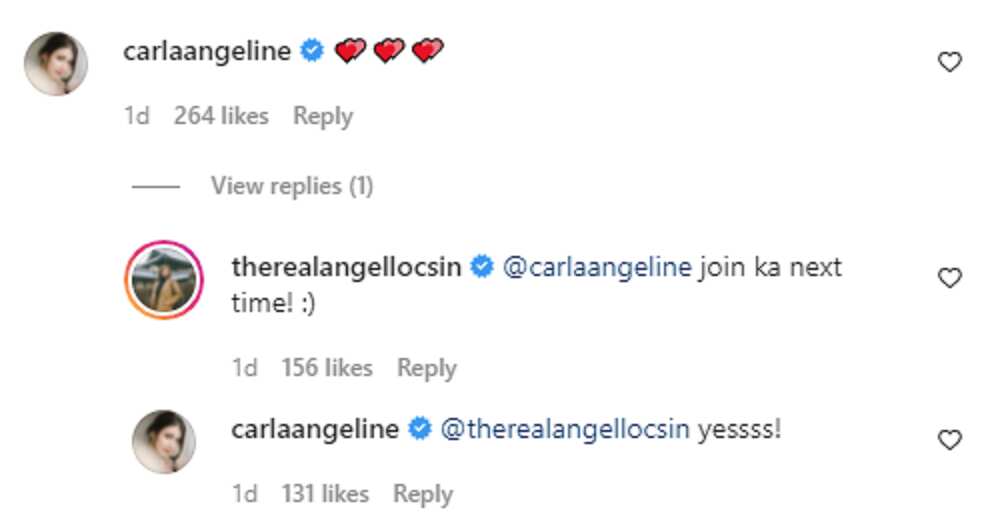 Angel Locsin replies to Carla Abellana's reaction to her post about Pasig rally: "join ka next time"