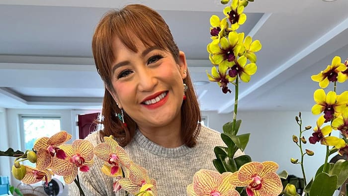 Jolina Magdangal posts adorable photo with Marvin Agustin; asks netizens to write script based on the pic