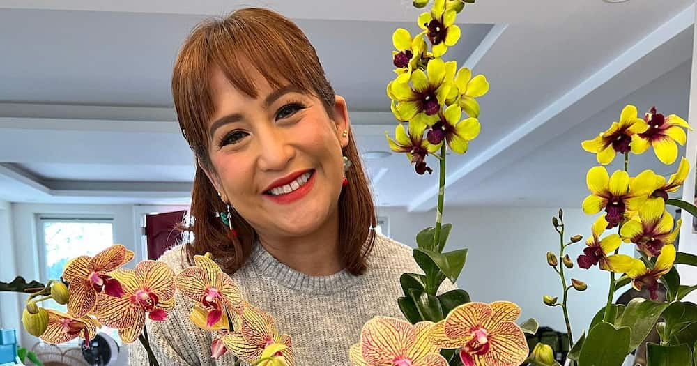 Jolina Magdangal posts adorable photo with Marvin Agustin; asks netizens to write script based on the pic