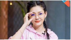 42-year-old Meteor Garden star Barbie Hsu’s recent photos leave netizens in awe
