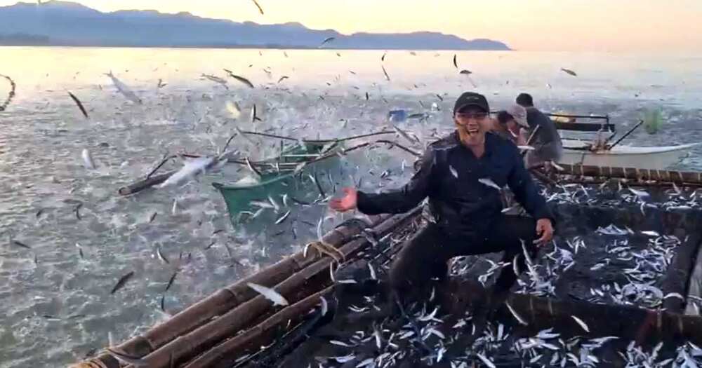 Video ng sangkaterbang isda na nag-unahan sa pagsampa sa mga bangka sa isang bayan sa Antique, viral