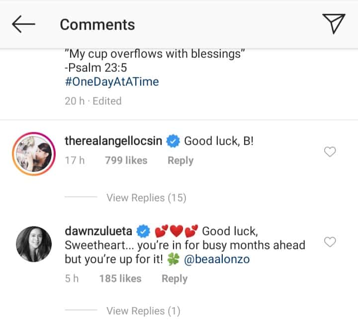 Angel Locsin, Dawn Zulueta react to Bea Alonzo's viral post on social media