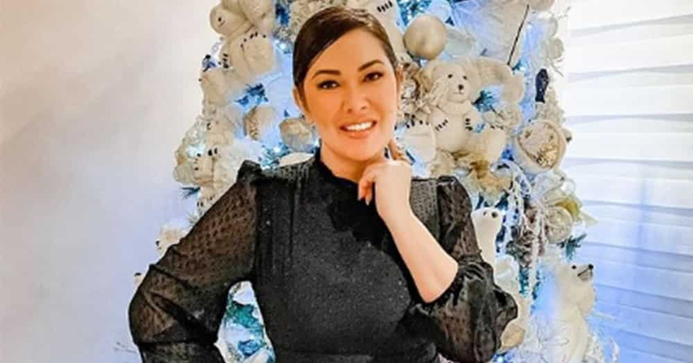 Ruffa Gutierrez flaunts new hairstyle; celebrities love the actress' new look