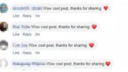 "Wow cool post! thanks for sharing" na komento, ginagamit para lamang daw sa 'badge'