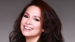 Lea Salonga husband: All the spicy details about the singer's marriage life
