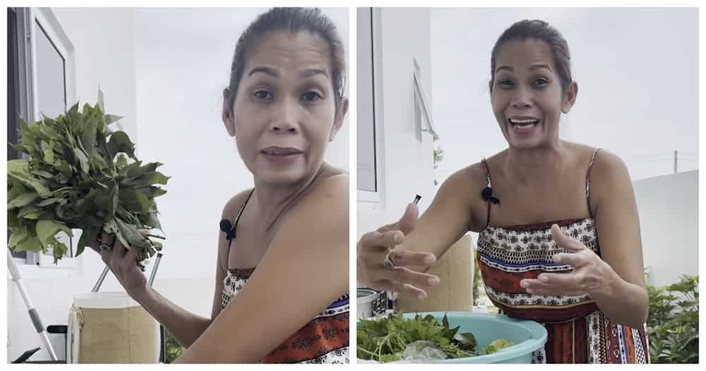 Pokwang, nagpasampol ng P1,000 ulam challenge sa viral video Pokwang, nagpasampol ng P1,000 ulam challenge sa viral video