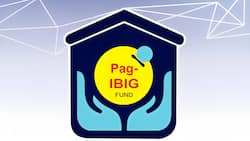 How to find your unprint MDF form of Pag-IBIG: online, tracking number and more