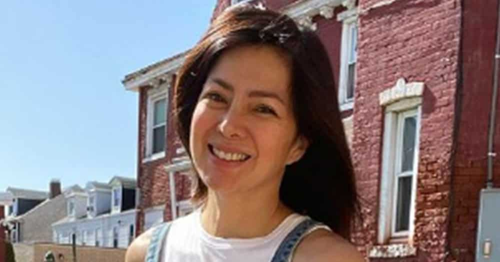 Alice Dixson answers netizen asking her to stop traveling amid the pandemic