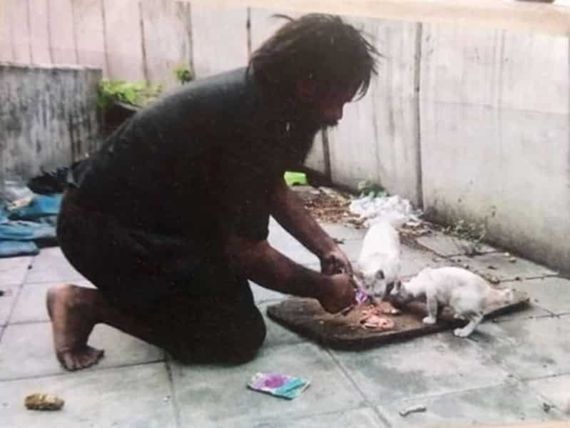 Homeless man goes viral for his selfless love for stray cats