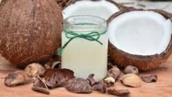 Find out where to buy coconut oil that has multiple benefits for your health